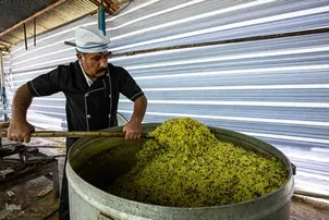 Libu-libong mga Peregrino ng Arbaeen ang Dumaan sa Lalawigan ng Ilam upang Pumunta sa Iraq