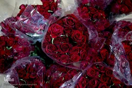 بدرقه‌ای با شاخه گل غدیر