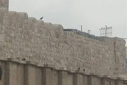 Le programme israélien à la mosquée Ibrahimi, est de provoquer les musulmans et de judaïser la région