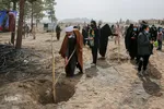 پویش سراسری درختکاری - مشهد

