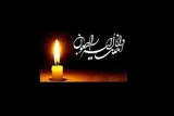 مادر شهیدان شریفی به فرزندان شهیدش پیوست