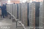 تشکیل دبیرخانه ملی کمیته‌های علمی و نخبگانی در دانشگاه خلیج‌فارس بندر بوشهر