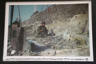 از قندهار تا شرهانی در قاب تصویر مبارزه