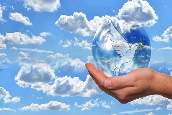 في اليوم العالمي للسلام..حكماء المسلمين: مأساة غزة اختبار للضمير العالمي