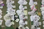 جشن شکوفایی (تکلیف) دانش آموزان دختر تبریز