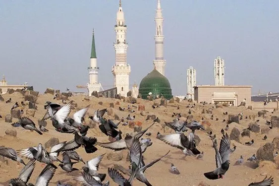په نړۍ کښې د مقدسو مزارونو ړنګول دوام لري