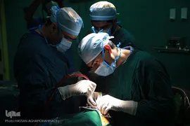 باران لبخند در کویر لب شکری های خراسان جنوبی