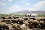 پانزدهم مهر؛ روز ملی روستا و عشایر