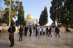 Palestinians to Thwart Israeli Plans to Judaize, Divide al-Aqsa Mosque: Hamas