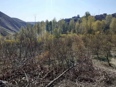 طبیعت بکر و پاییزی روستای انجرد شهرستان اهر