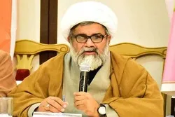 مذہبی جنونیت اور متشدد مذہبی گروہوں نے دین اسلام کو شدید نقصان پہنچایا ہے