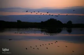فصل رنگ‌ها در جهان