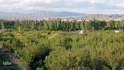 طبیعت بهاری شهرستان اهر در یک نگاه
