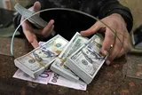 پیش‌فروش ارز فردا آغاز می‌شود