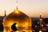 فیلم/السلام علیک ایهاالامام الرئوف