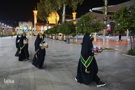 سیب بهشتی‎‎