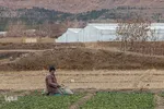 روز پدر در اصفهان