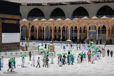 حجاج در سرزمین وحی