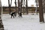 بارش برف در اهر