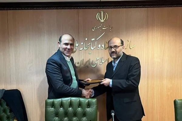 انتصاب سرپرست دفتر فراهم‌آوری منابع دیجیتال کتابخانه ملی