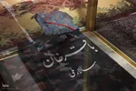 مشروطه گردی در تبریز‎