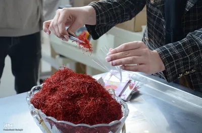 مرند قطب طلای سرخ آذربایجان شرقی