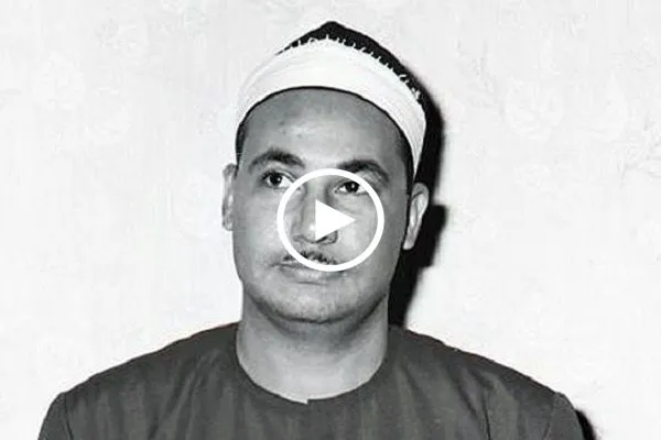 بالفيديو...تلاوة من سورة 