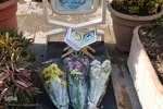 گلباران مزار مطهر شهدای اصفهان