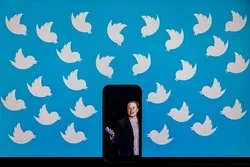 Dank Musks Politik: islamfeindliche Aktivisten erhalten blauen Haken von Twitter