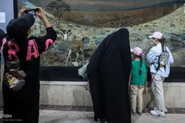 همایش پیاده‌روی خانوادگی جهادگران جهاد دانشگاهی