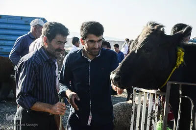 عید قربان -تبریز
