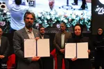 پایان دومین جشنواره ملی زرشک خراسان‌جنوبی
