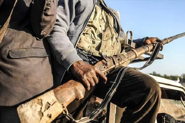 Nijer ve Nijerya'dan ortak operasyon: 22 Boko Haram üyesi öldürüldü
