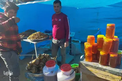 دومین جشنواره گردو و بادام علی آباد دمق شهرستان ملایر‎