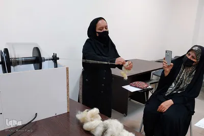 آغاز آموزش متقاضیان طرح توسعه مشاغل خانگی در فارس
