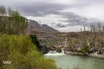 سامان شهر شکوفه‎های بهاری