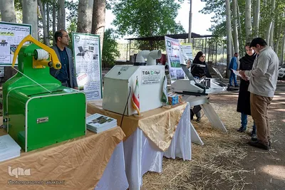 جشن شکرانه برداشت میوه البرز