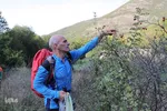بقعه امامزاده پیرداوود‎