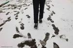 بارش برف در اهر