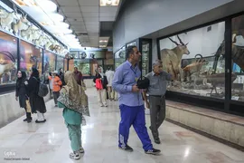 همایش پیاده‌روی خانوادگی جهادگران جهاد دانشگاهی