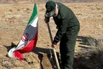 کاشت ۲۰۰ هزار نهال به همت جهادگران در خراسان جنوبی
