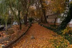 نغمه باران در اصفهان