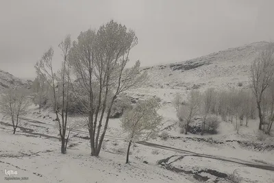 بارش برف بهاری در ارتفاعات روستایی اهر