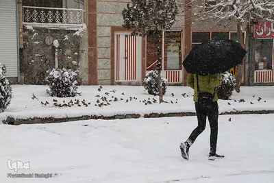 بارش اولین برف زمستان در تبریز‎‎