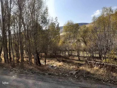 طبیعت بکر و پاییزی روستای انجرد شهرستان اهر