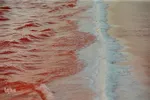 دریاچه نمک حوض سلطان به رنگ سرخ
