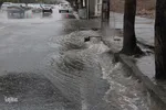 بارش باران در بیرجند