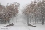 بارش سنگین برف در تبریز‎