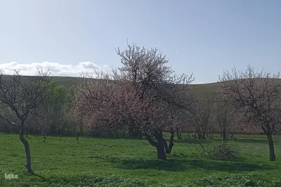 طبیعت بهاری روستاهای شهرستان اهر