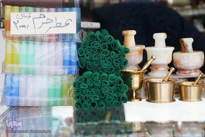 زندگی در کنار بارگاه کریمه اهل بیت(س)